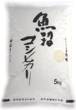 VâāVaāRVqJ摜