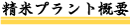 Va-RVqJAĔ̔̐Va_ăvgTv